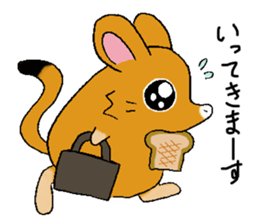 The rare animal "elephant shrew" sticker #9801662