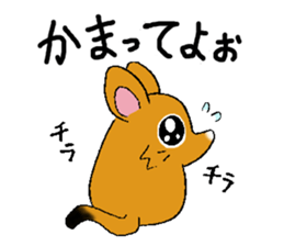 The rare animal "elephant shrew" sticker #9801670