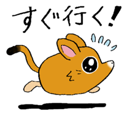 The rare animal "elephant shrew" sticker #9801673