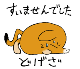 The rare animal "elephant shrew" sticker #9801676