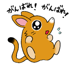 The rare animal "elephant shrew" sticker #9801677