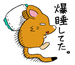 The rare animal "elephant shrew" sticker #9801690