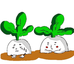 Japanese radishs sticker #9802345