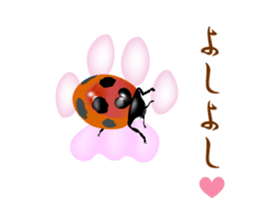 Cat de mon sticker #9807178