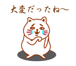 Cat de mon sticker #9807193