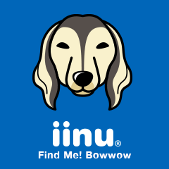 iinu - Saluki