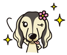 iinu - Saluki sticker #9809219