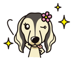 iinu - Saluki sticker #9809219