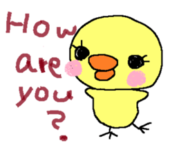 PIPIKO of a chick sticker #9810000