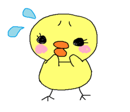 PIPIKO of a chick sticker #9810002