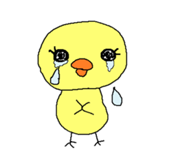 PIPIKO of a chick sticker #9810004