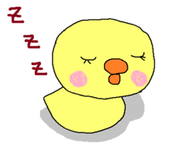 PIPIKO of a chick sticker #9810007