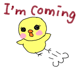 PIPIKO of a chick sticker #9810018
