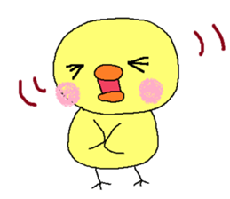 PIPIKO of a chick sticker #9810023