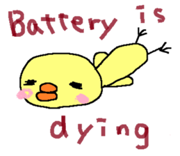 PIPIKO of a chick sticker #9810036