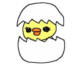 PIPIKO of a chick sticker #9810038