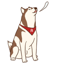 Husky Rangers (EN) sticker #9810241