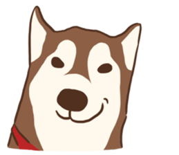 Husky Rangers (EN) sticker #9810243