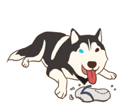 Husky Rangers (EN) sticker #9810249