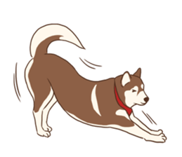 Husky Rangers (EN) sticker #9810262