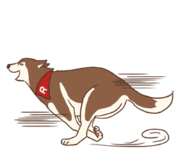 Husky Rangers (EN) sticker #9810270