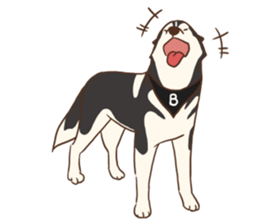 Husky Rangers (EN) sticker #9810274