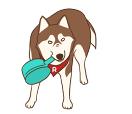 Husky Rangers (EN) sticker #9810275