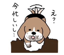 Beagle dog bob sticker #9812312