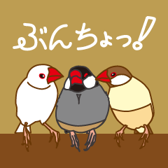 Daily Java sparrow!