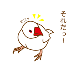 Daily Java sparrow! sticker #9813485