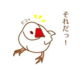 Daily Java sparrow! sticker #9813485