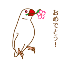 Daily Java sparrow! sticker #9813486