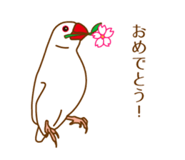 Daily Java sparrow! sticker #9813486