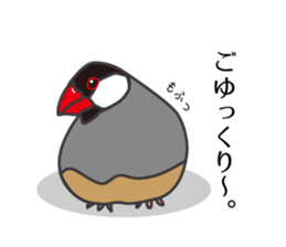Daily Java sparrow! sticker #9813489