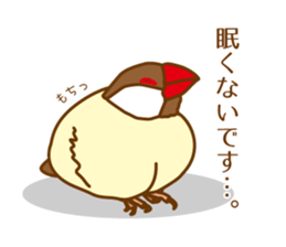 Daily Java sparrow! sticker #9813497