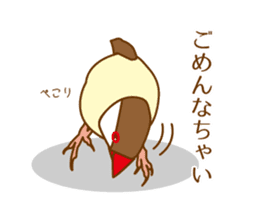 Daily Java sparrow! sticker #9813498