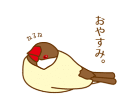 Daily Java sparrow! sticker #9813500