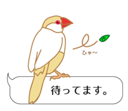 Daily Java sparrow! sticker #9813511