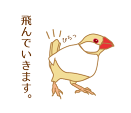Daily Java sparrow! sticker #9813513