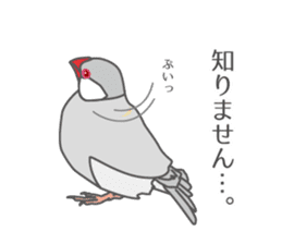 Daily Java sparrow! sticker #9813515