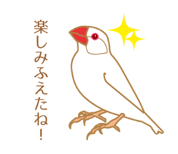 Daily Java sparrow! sticker #9813518