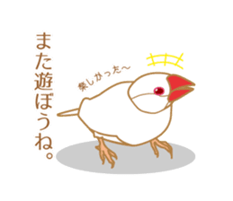 Daily Java sparrow! sticker #9813519