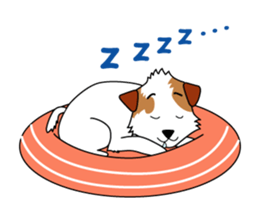 Jack Russell terrier cherry sticker #9814538