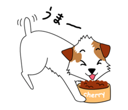 Jack Russell terrier cherry sticker #9814544