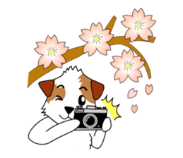 Jack Russell terrier cherry sticker #9814546