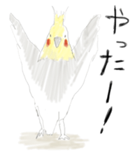 Parakeet HANA sticker #9815845