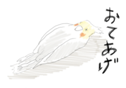 Parakeet HANA sticker #9815847