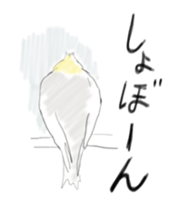 Parakeet HANA sticker #9815851