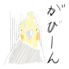 Parakeet HANA sticker #9815852