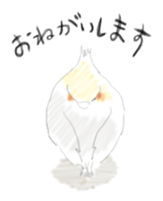 Parakeet HANA sticker #9815854